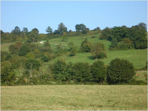 Entretien du paysage