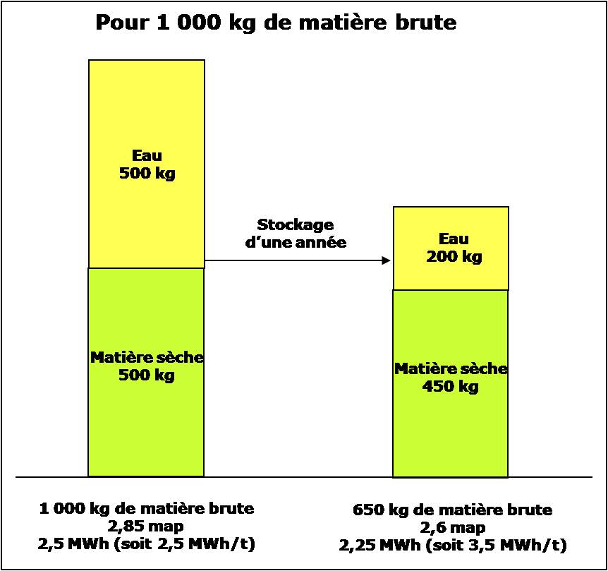 Bois sec / bois humide - Biomasse Normandie