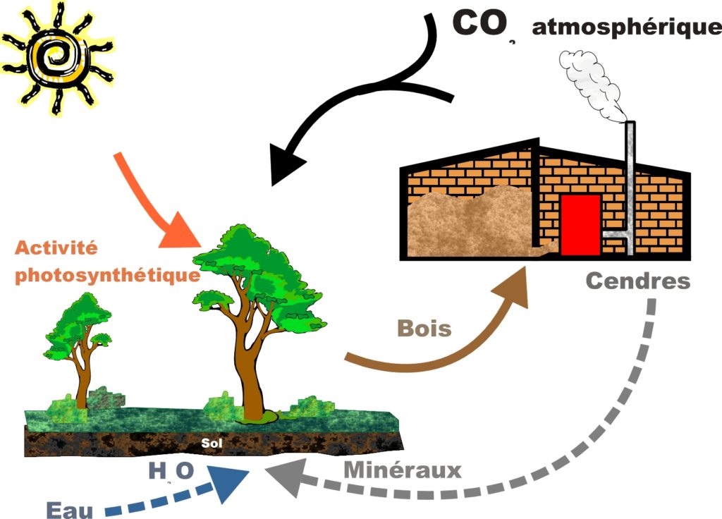 La biomasse est une énergie renouvelable Biomasse Normandie — free download