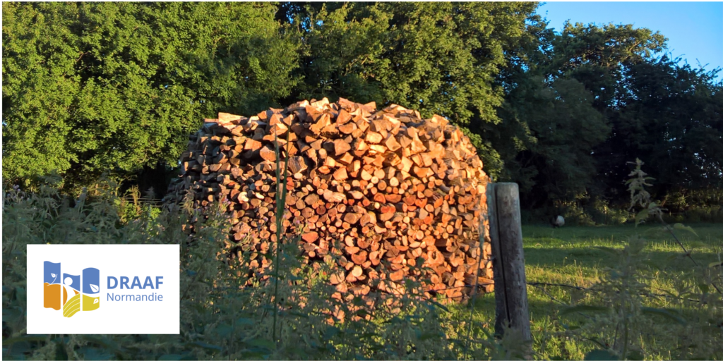 Bois de feu en Normandie