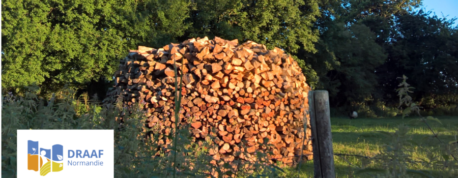 Bois de feu en Normandie