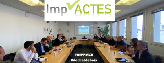 Imp'Actes REP PMCB