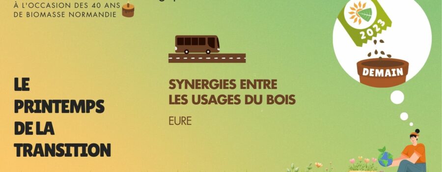 synergie entre les usages du bois