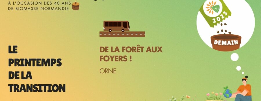 De la forêt au foyer