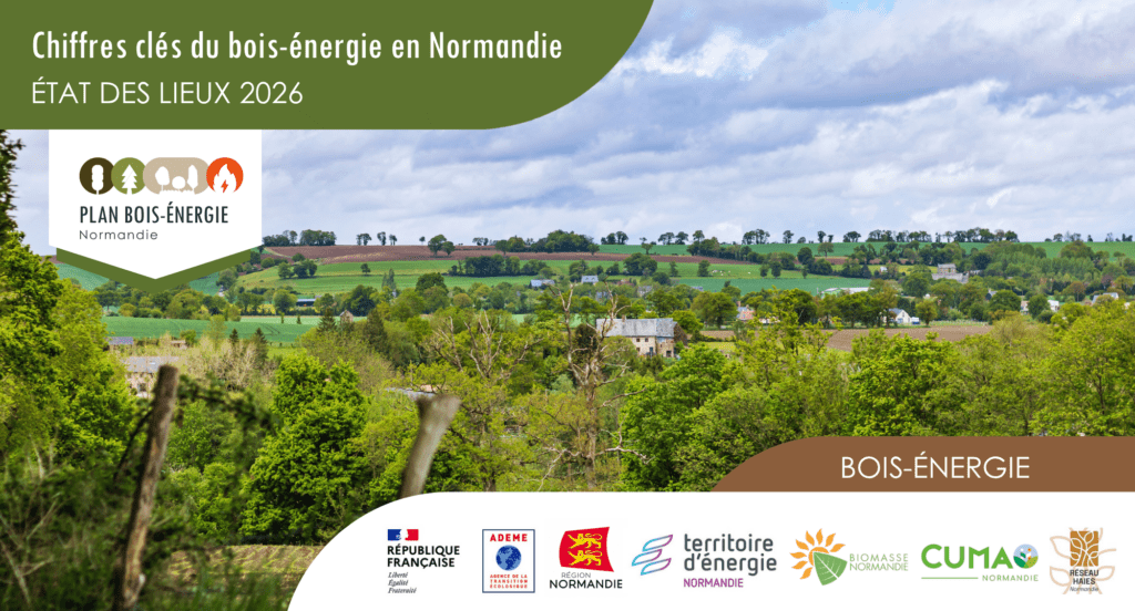 Les chiffres-clés du bois-énergie en Normandie en 2026